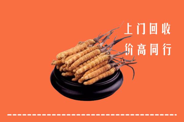 高价求购：赤坎区回收散虫草