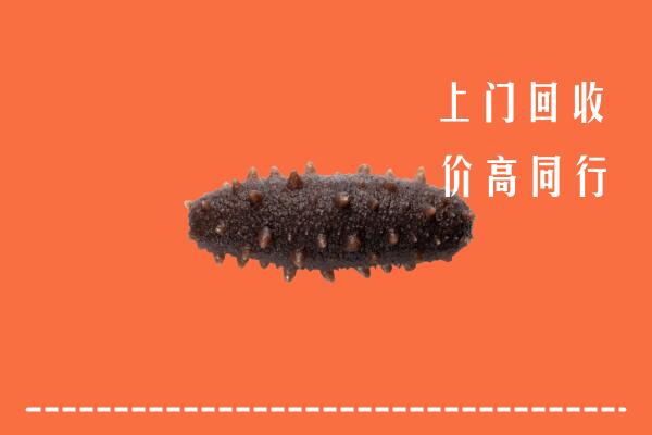 高价求购：赤坎区回收海参