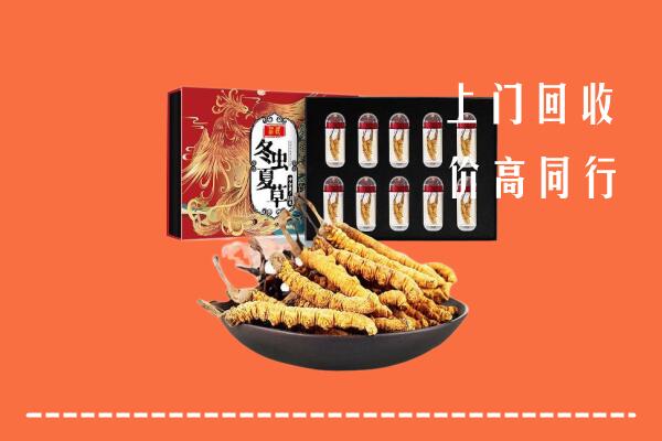 赤坎区回收虫草